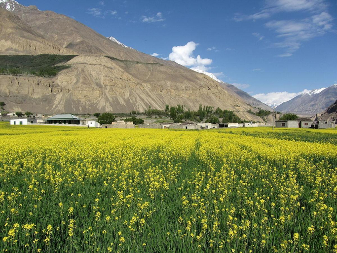 Others, Minglig Guesthouse, Northern Areas