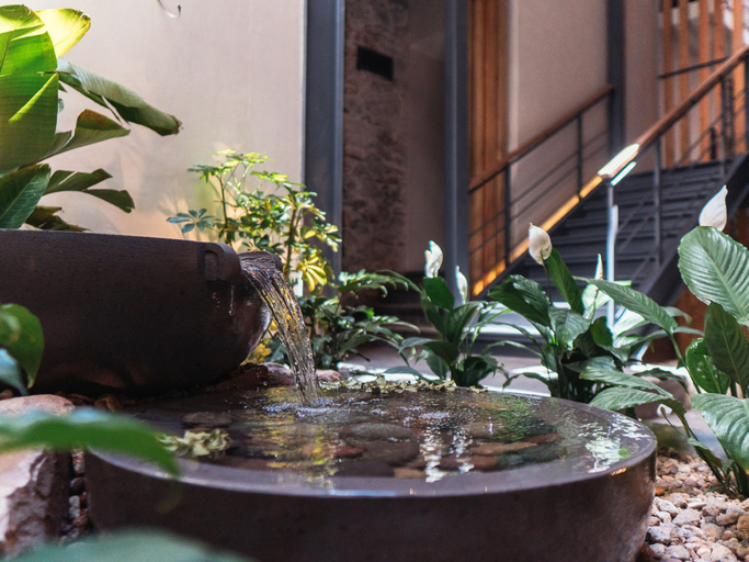 Public Area 3, Hotel Maria Camille, Allende