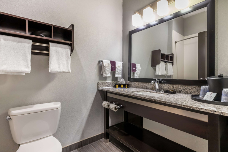 Bathroom 4, Best Western Plus Coweta's 1st Hotel, Wagoner