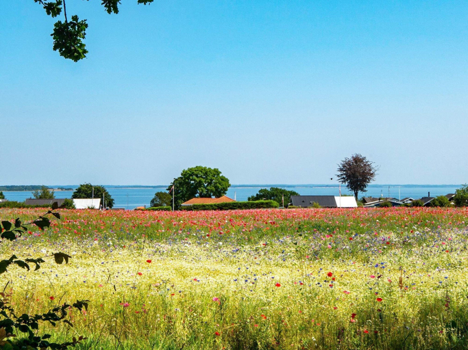 Others 5, 5 Star Holiday Home in Haderslev, Haderslev