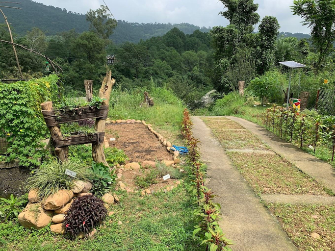 Others 5, The Nest Farmstay, Kangra
