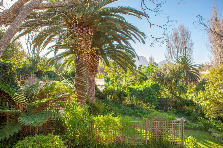 Others 3, 33 Strawberry Lane - Studio and Cottage, City of Cape Town