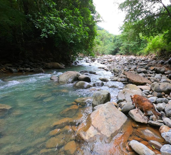 5, La Semilla Ecolodge, Panamá