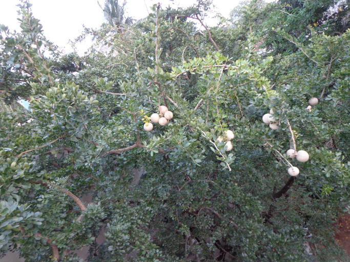 Others 3, Rajarata Reach Resort, N. Palatha East
