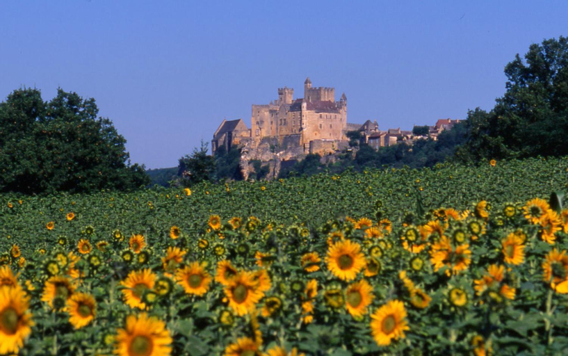 Exterior & Views 1, Villa de charme, Sarlat-la-Caneda, jardin, Dordogne