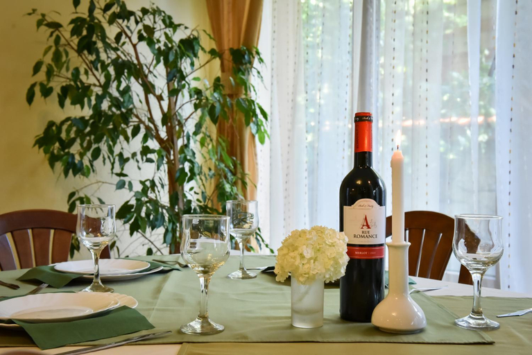 Others 5, Lina Hotel, Bansko