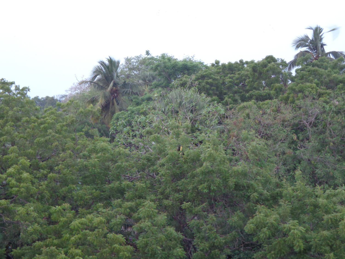 Others 2, Rajarata Reach Resort, N. Palatha East
