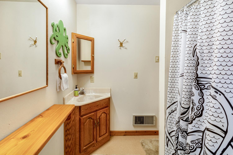 Bathroom, Octopus Den, Island