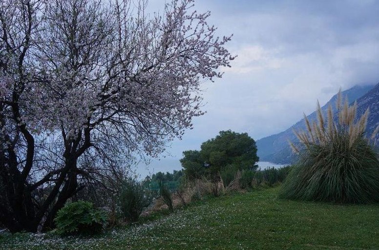 Others 3, Pantheon Hotel & Suites, Central Greece