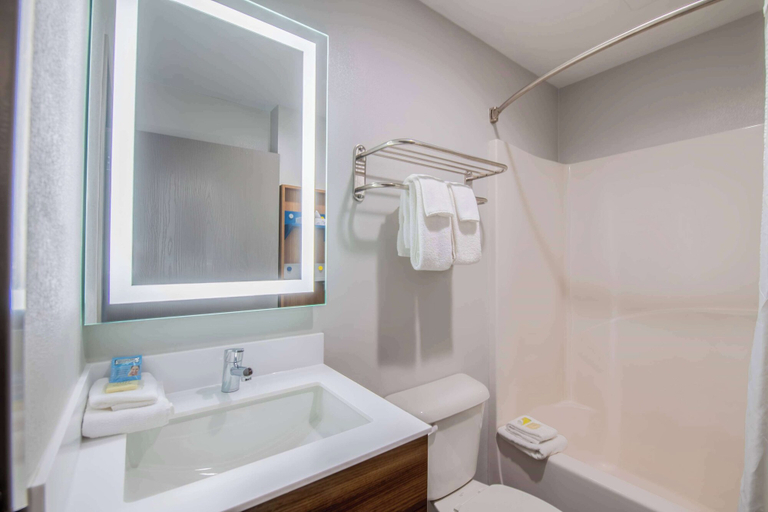 Bathroom 4, Microtel Inn & Suites by Wyndham Anderson/Clemson, Anderson
