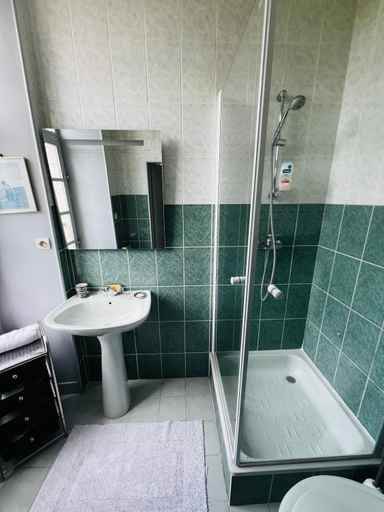 Bathroom 3, Chateau de la Thibaudiere - Chambre de la Reine, Maine-et-Loire