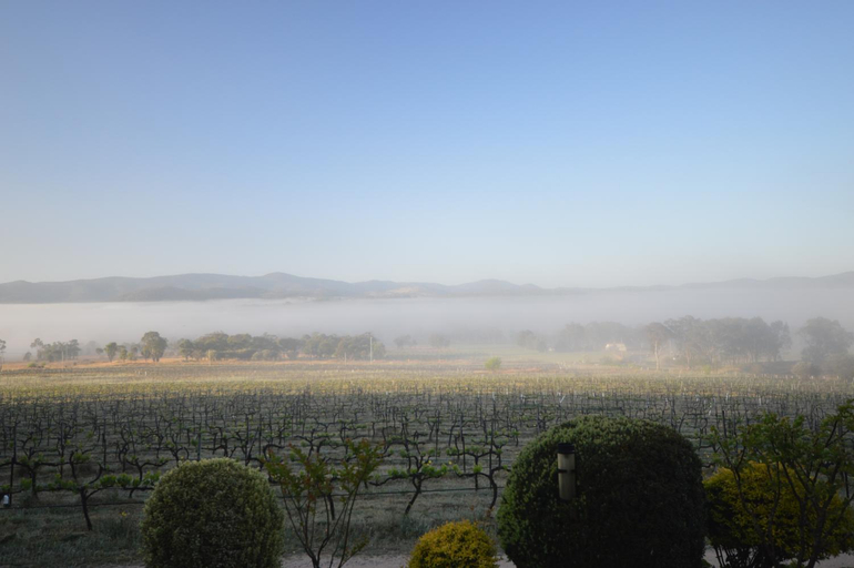 Others 4, Sancerre Estate , Stanthorpe