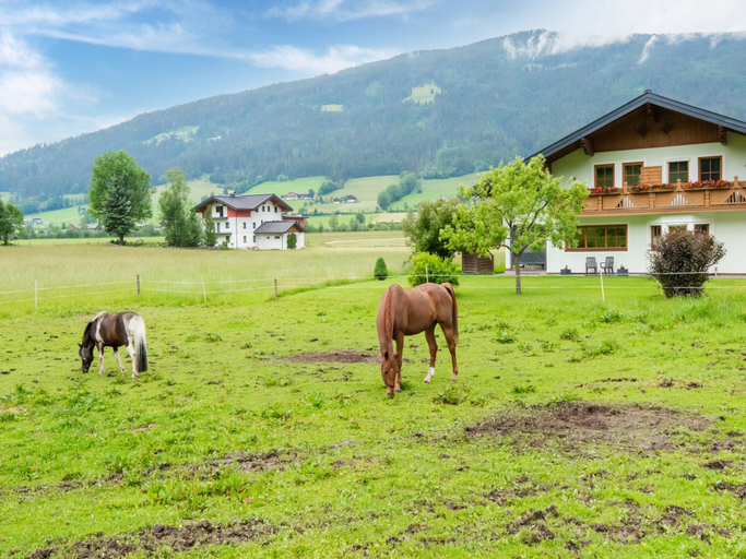 Others 3, Apartment With E-charging Station, Sankt Johann im Pongau