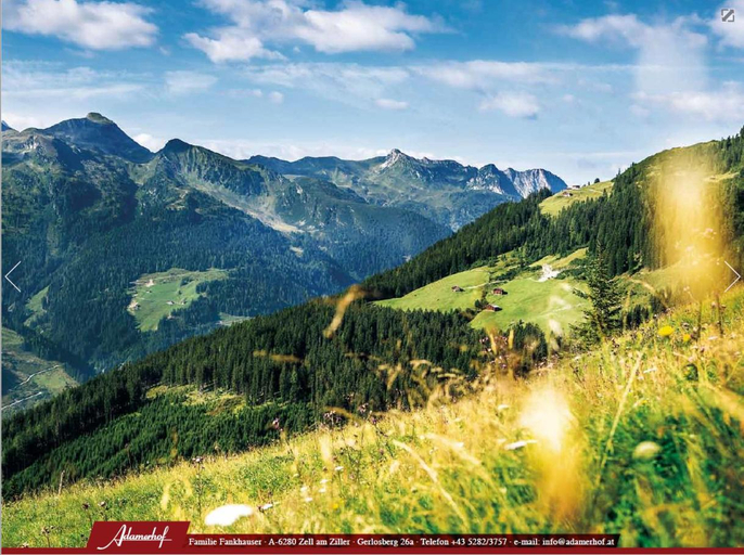 Others 4, "Adamerhof", Schwaz