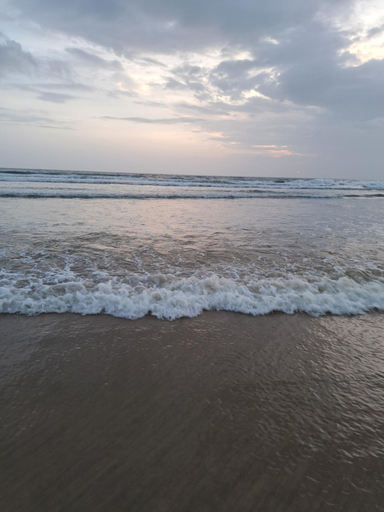 Others 5, C Pearl, South Goa