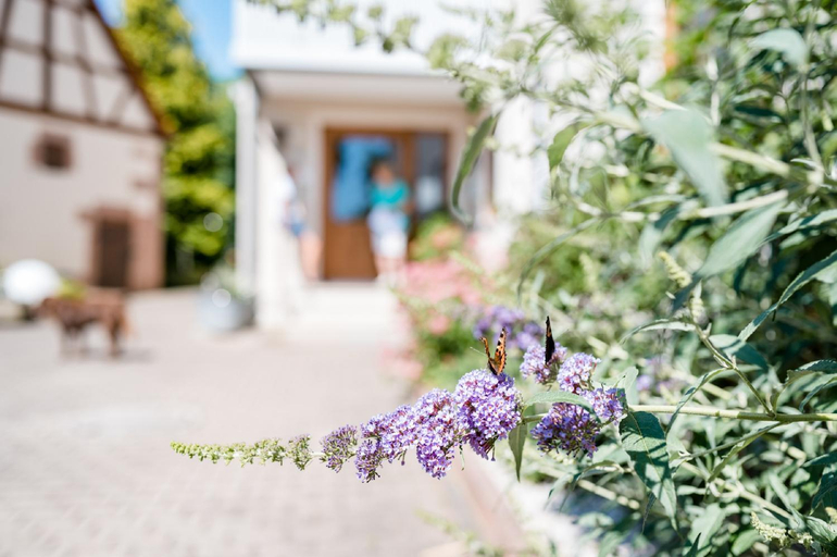 Garden, Appartementanlage Marianne, Ansbach