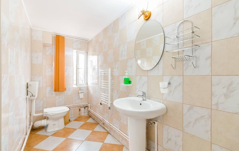 Bathroom, Pensiunea Gaby, Dambovicioara