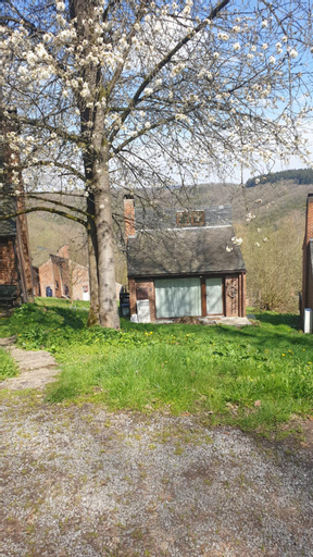 La cabane d'Helie - Cottage en pleine foret - Domaine du Bonsoy, Namur