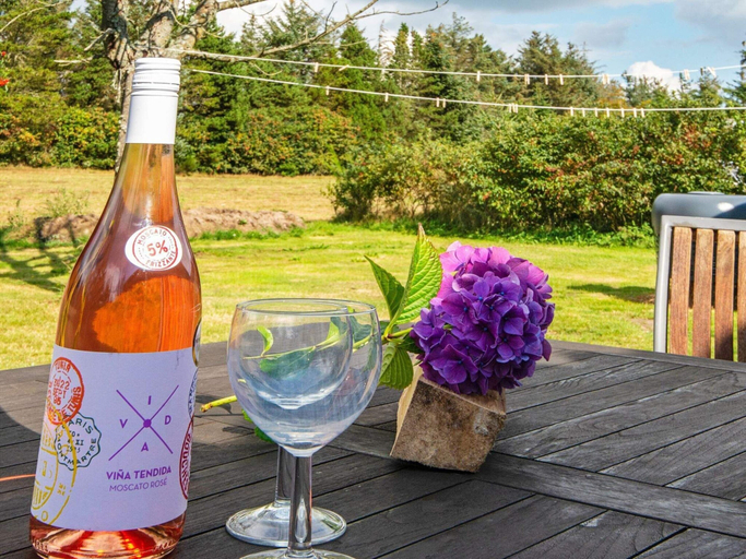 Food & Drinks 4, 4 Star Holiday Home in Ulfborg, Holstebro