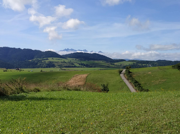 Surrounding environment