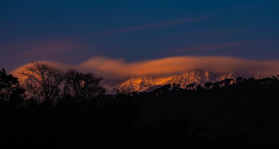 Others 1, The Nest Farmstay, Kangra