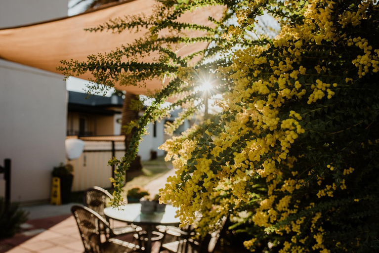 Others 4, Inverell Terrace Motor Lodge, Inverell - Pt B
