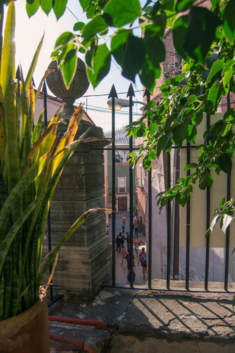 Others 2, Casa Lupita Hostel, Guanajuato