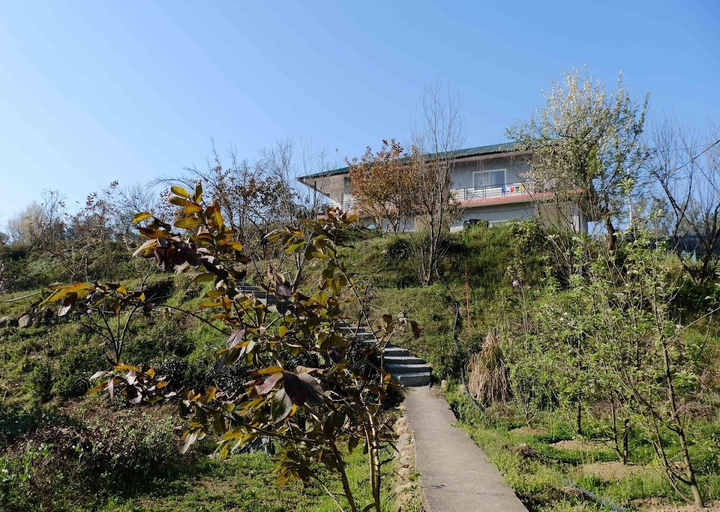 Others 3, The Nest Farmstay, Kangra