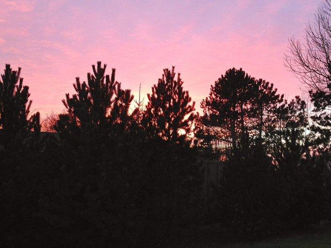View from property, 4 Star Holiday Home in Rodby, Lolland