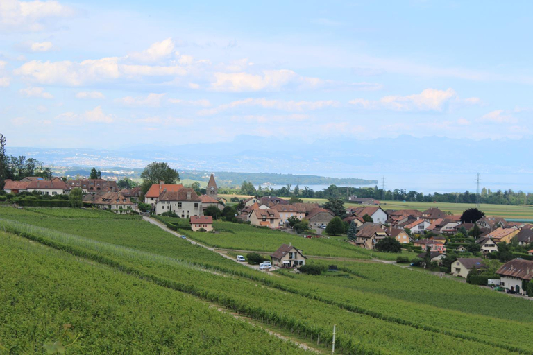 Others 4, Au cœur du vignoble sur Bursins, Nyon