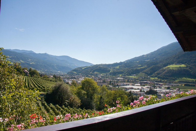 Others 5, Sunnegg, Bolzano
