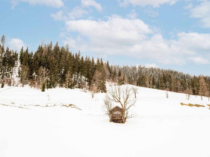 Others 4, Sunny Apartment in Wagrain, Sankt Johann im Pongau