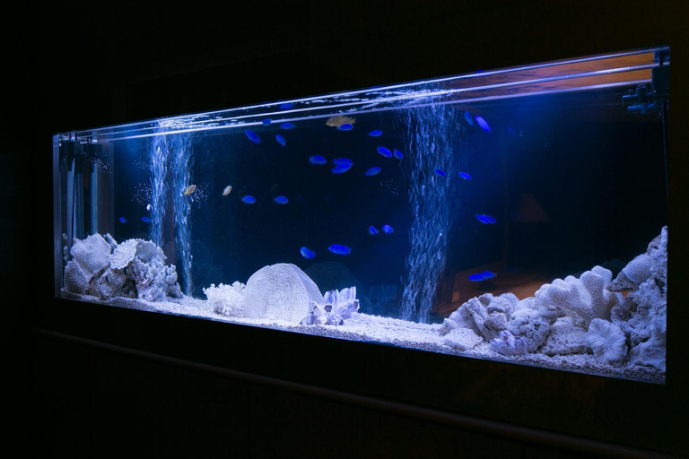 Others 5, Hotel Atlantis Otsu (Adult Only), Lake Biwa