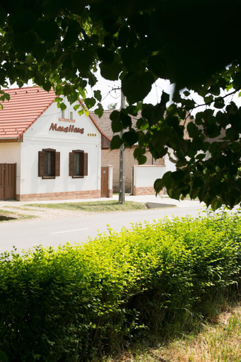 Others 2, Maushaus, Mohácsi