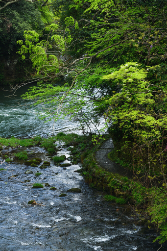 Scenery