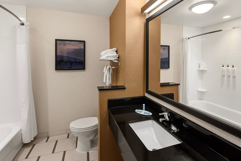 Bathroom 4, Fairfield Inn & Suites by Marriott Waterloo Cedar Falls, Black Hawk