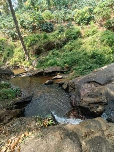 Others 3, Hidden Creek Coorg, Kodagu
