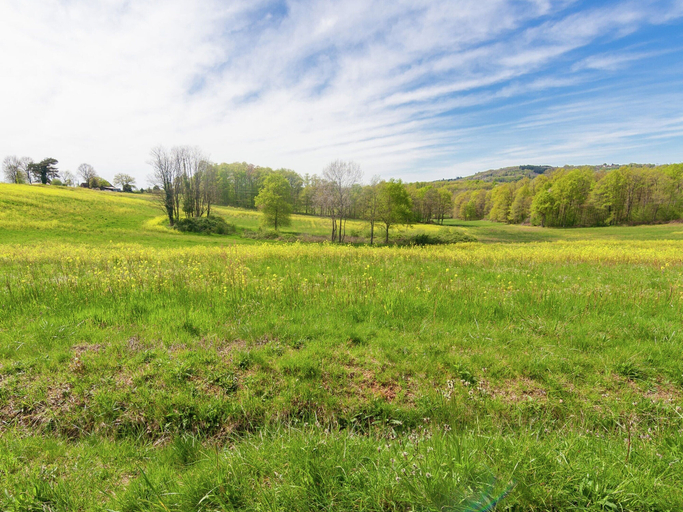 View from property 4, Elegant Holiday Home in Coubjours, Dordogne