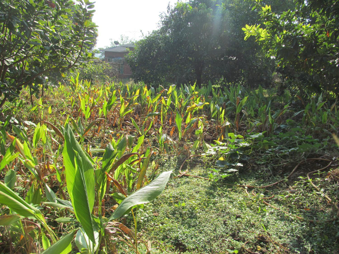 Others 2, Vidya Konkan Agro Tourism, Ratnagiri