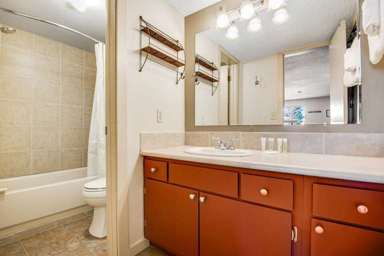 Bathroom 3, Silver Queen 7300, Summit