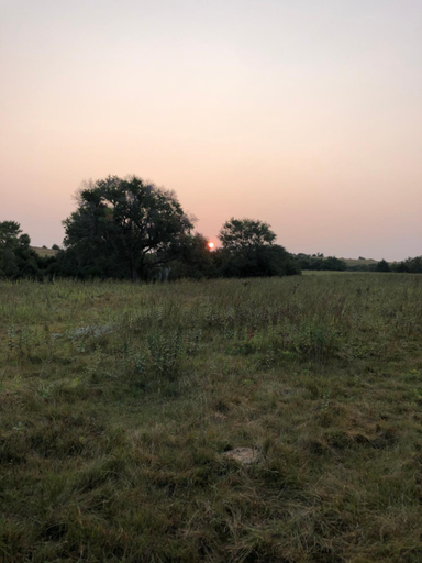 Others 5, ReWild Ranch LLC, Custer