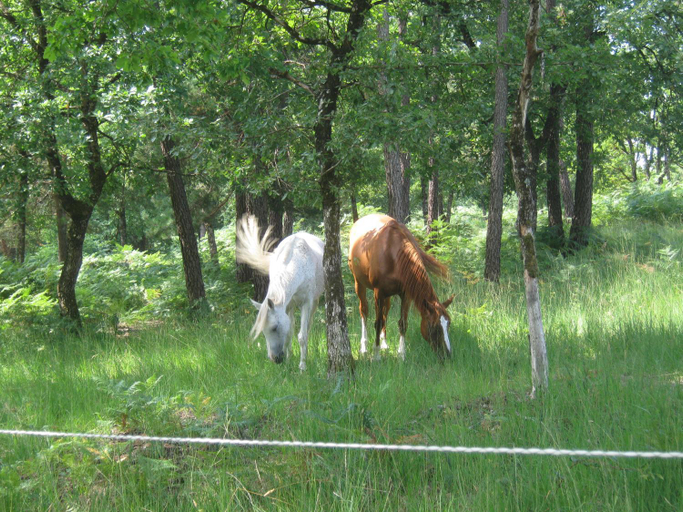Others 5, B&B Angueur, Dordogne