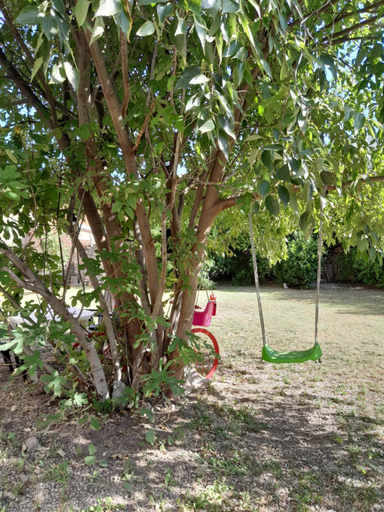 Others 4, Ponte FREE PARKING, Herzegovina-Neretva