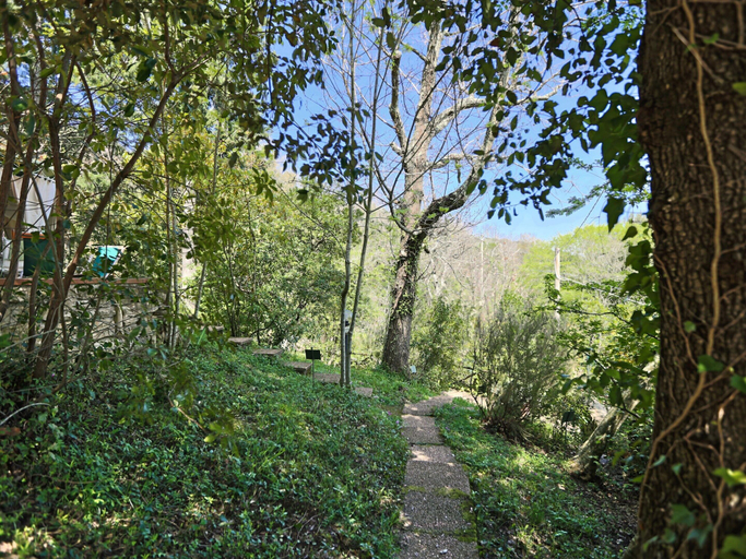 Garden, Holiday Home in Sassetta With Pool and Garden, Livorno
