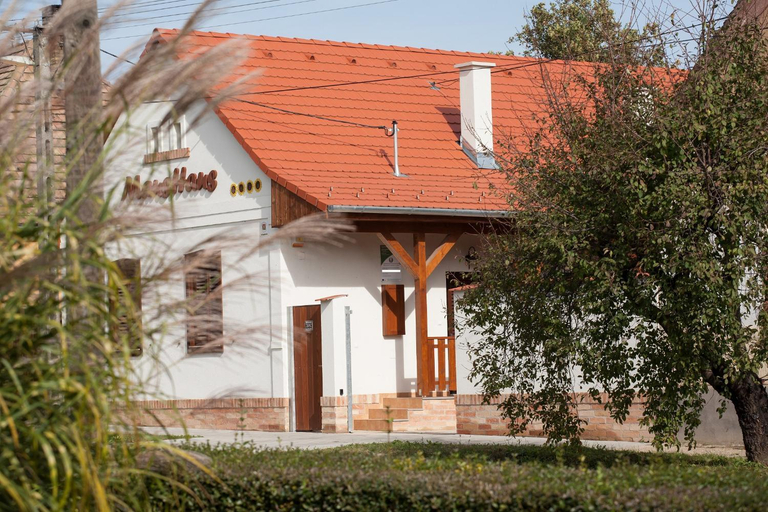 Others 4, Maushaus, Mohácsi