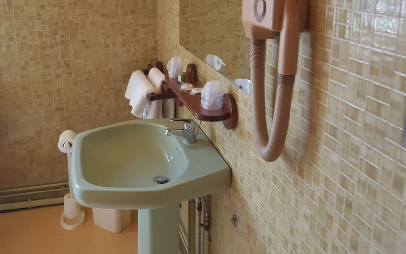 Bathroom, Auberge De La Forêt, Nord
