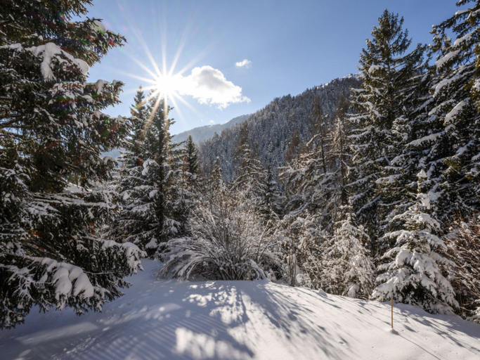 Others 5, Chalet Banksia by Interhome, Martigny