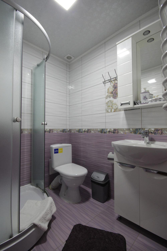 Bathroom 3, Sadyba u Halyny, Nadvirnians'kyi