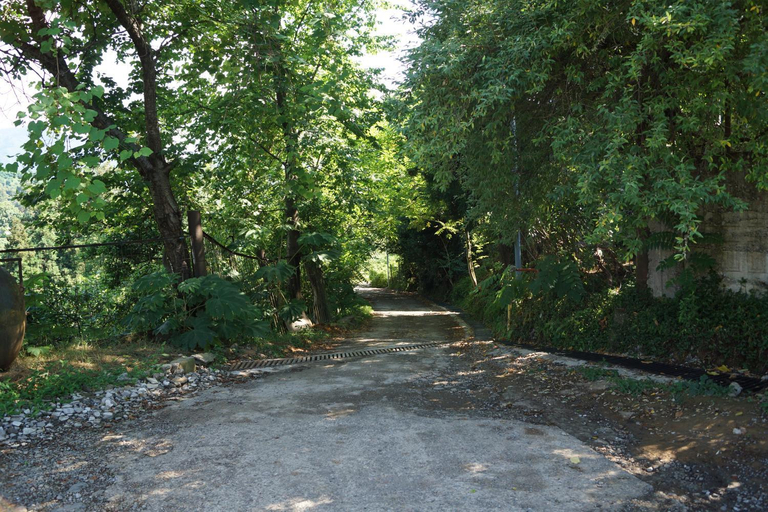 Others 5, AnaMaria, Batumi