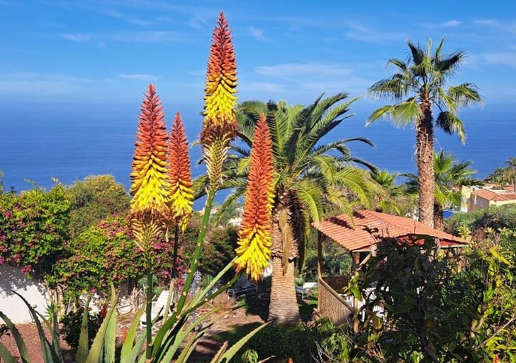 Others 4, Villa Larnia de Tenerife, Santa Cruz de Tenerife